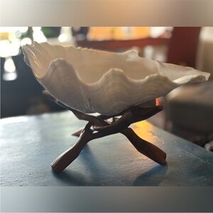 RARE Natural Large Under The Sea Clam Oyster Shell Bowl w/ Wooden Display Stand